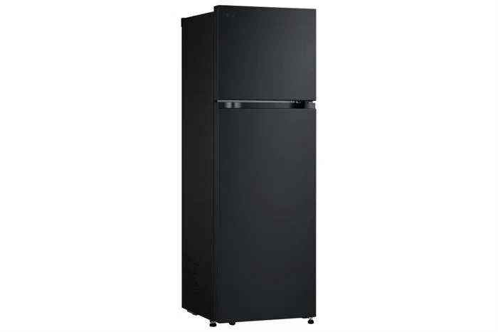 Tủ lạnh LG Inverter 266 lít LTB26BLM - Ảnh 2